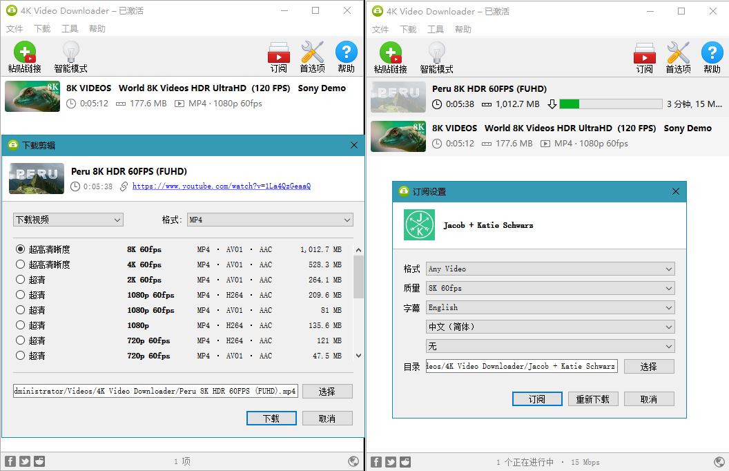 4K Video Downloader v4.17