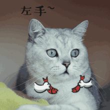 ˶Կָ-(˶Կָ)