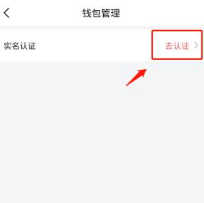 շ𣿷ʵ