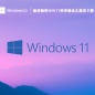 Win11ü V2022