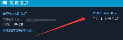 steamֻ޷ֻͶô