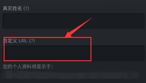 steamֻ޷ֻͶô