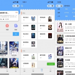 全新超火的微信小说小程序源码