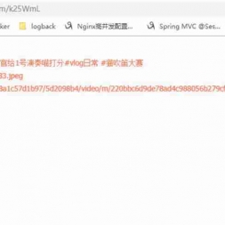 抖音快手微视短视频等去水印网站源码