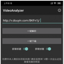 ׿VideoAnalyzer_v19.722ȫƽ̨Ƶ