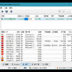 qBittorrent 4.2.5.12 ǿ