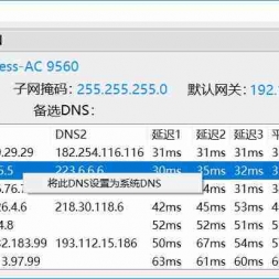 DNSѡѡʷ