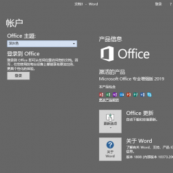 ΢Office 2019 Ȩ