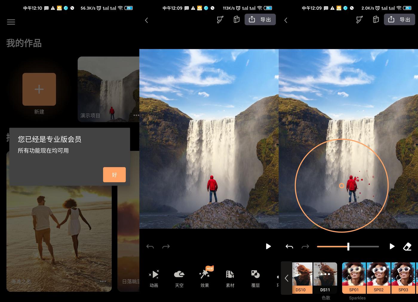 ׿Pixaloop 1.2.5רҵ