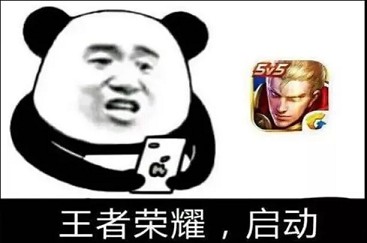ֱҫ800Ѷģ